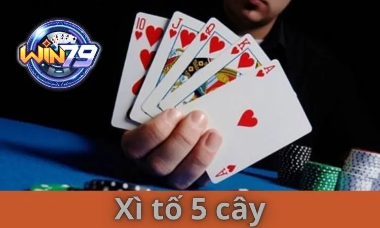 Xì tố 5 cây là một trong trò chơi được yêu thích tại Win79